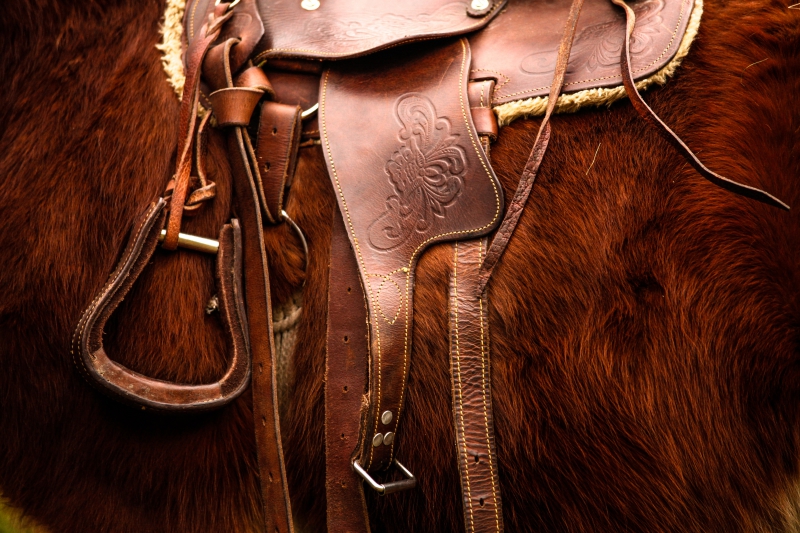 maroquinerie-CARQUEIRANNE-min_saddle-792822